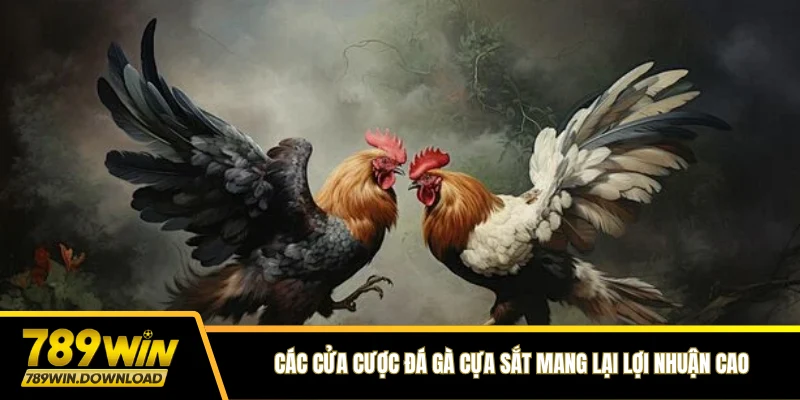 Các cửa cược đá gà cựa sắt mang lại lợi nhuận cao