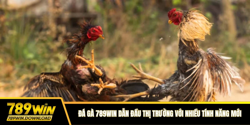 Đá gà 789win dẫn đầu thị trường với nhiều tính năng mới