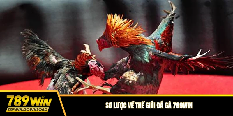 Sơ lược về thế giới đá gà 789win
